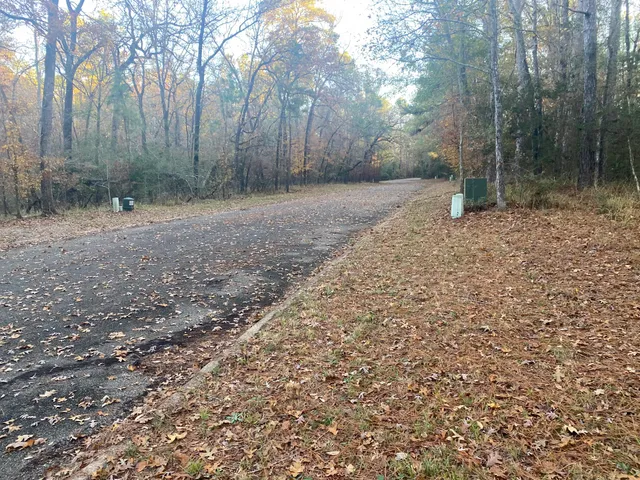 $9,000 | 26721 Pecan Circle, Oakhurst, TX 77359