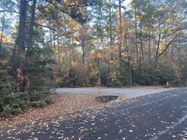 $9,000 | 26721 Pecan Circle, Oakhurst, TX 77359