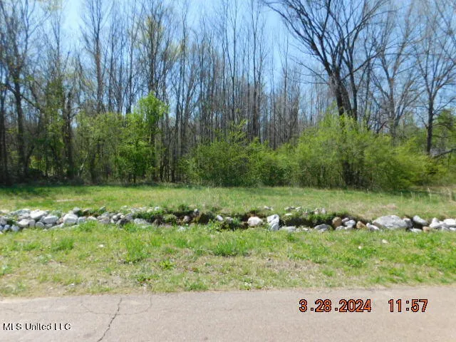 $424,000 | 0 Stockade Drive, Olive Branch, MS 38654