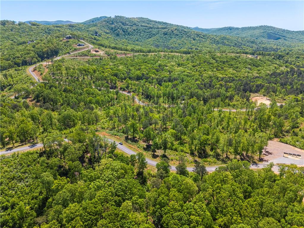 112 Twisted Oak Road Talking Rock, GA 30175 - Photo 7 of 14 a view of a lush green forest with lush green forest