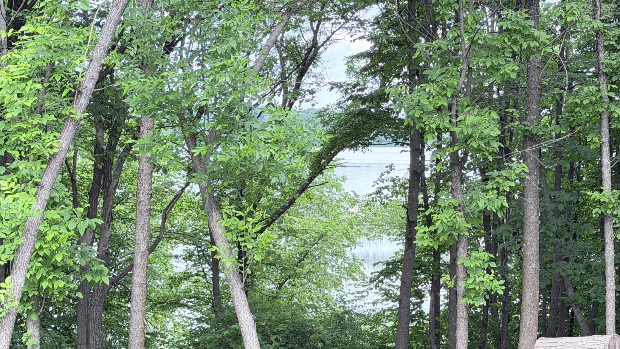 Lot 11 West Stalker Road Dalton, MN 56324 - Photo 10 of 27
