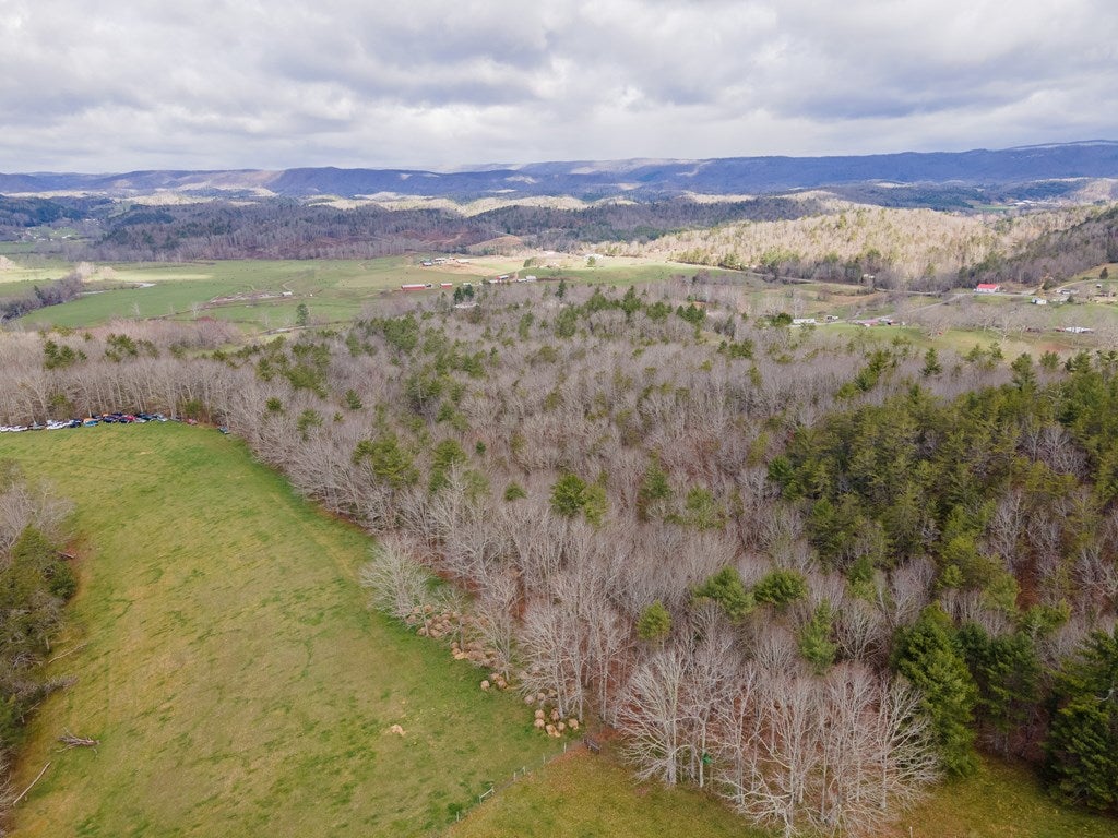 2804 Price Ridge Road Bland, VA 24315 - Photo 47 of 63 Gallery Image 47