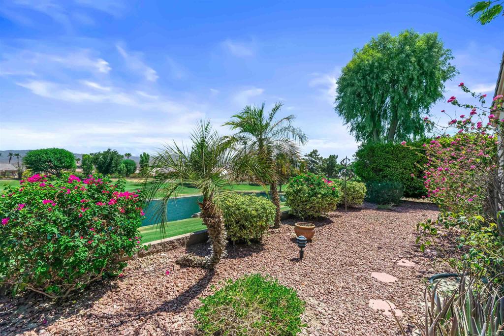 39303 Gleneagles Circle Palm Desert, CA 92211 - Photo 24 of 71 a view of a garden with plants and large trees