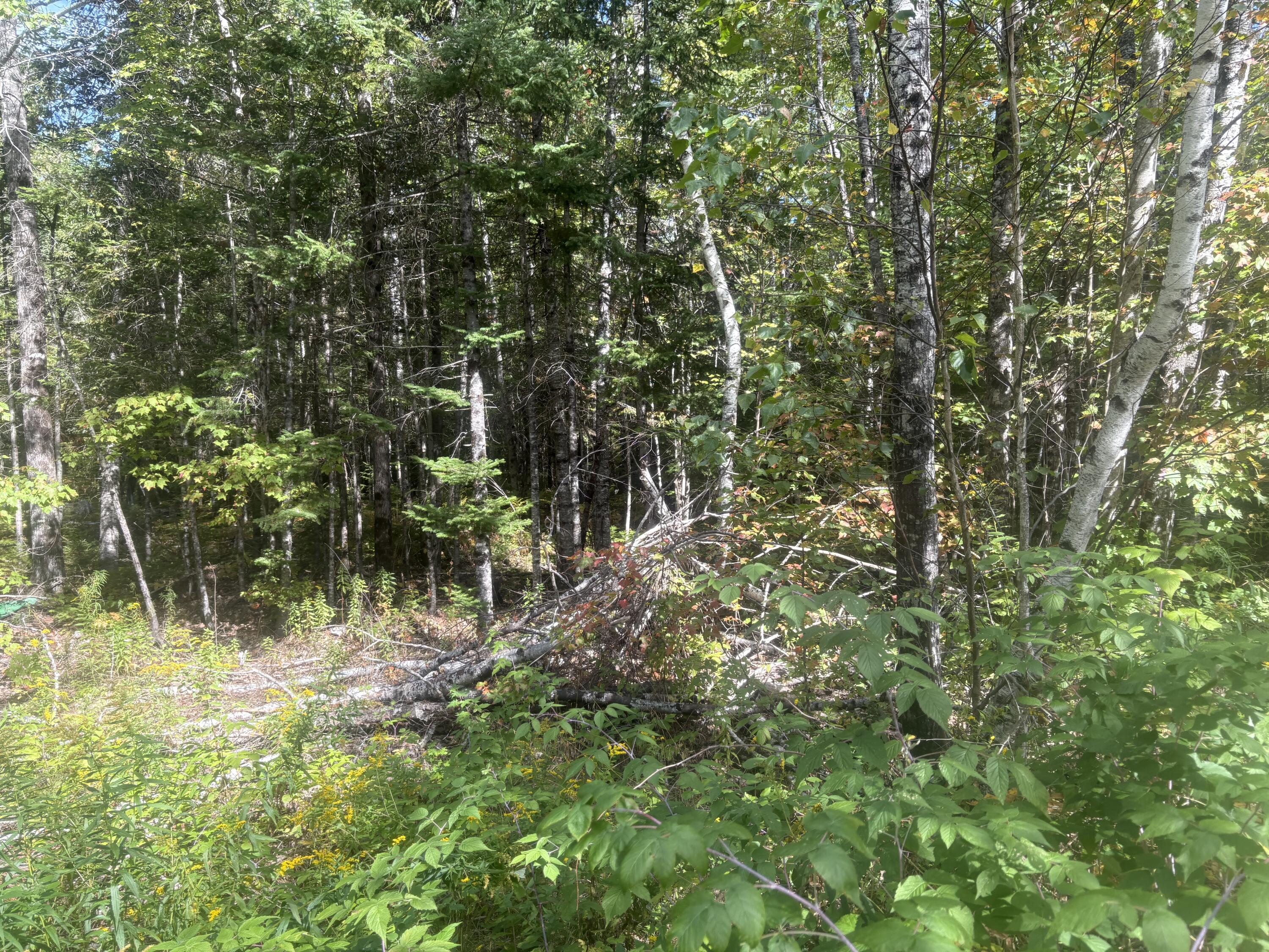 33 Maxfield Road Howland, ME 04448 - Photo 22 of 24 IMG_5491