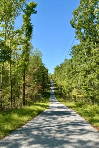 a view of a yard with yellow house