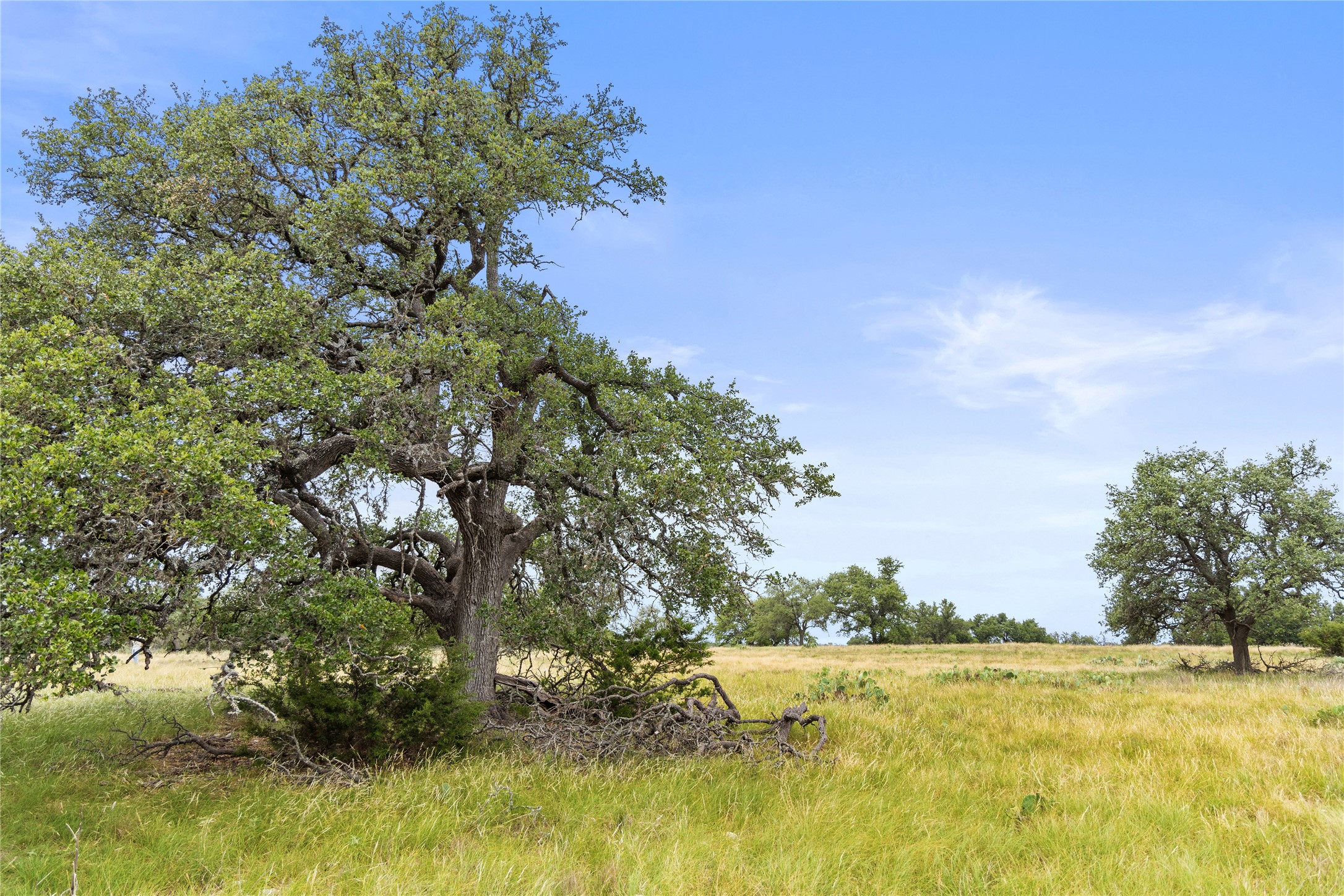 3049 Reservation Road Harper, TX 78631 - Photo 28 of 40 a view of an ocean