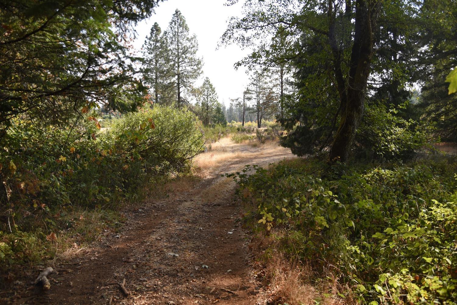 0 Lone Mountain Road, Unit TL600 O'Brien, OR 97534 - Photo 2 of 6 Additional Photo