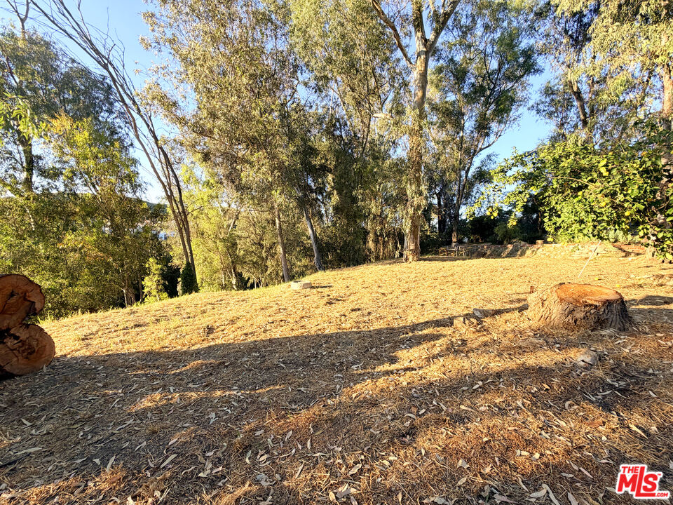 3100 Santa Maria Road Topanga, CA 90290 - Photo 57 of 66 a view of snow on the side of a road