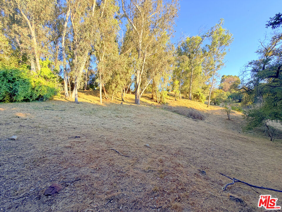 3100 Santa Maria Road Topanga, CA 90290 - Photo 60 of 66 a view of dirt field with trees in the background