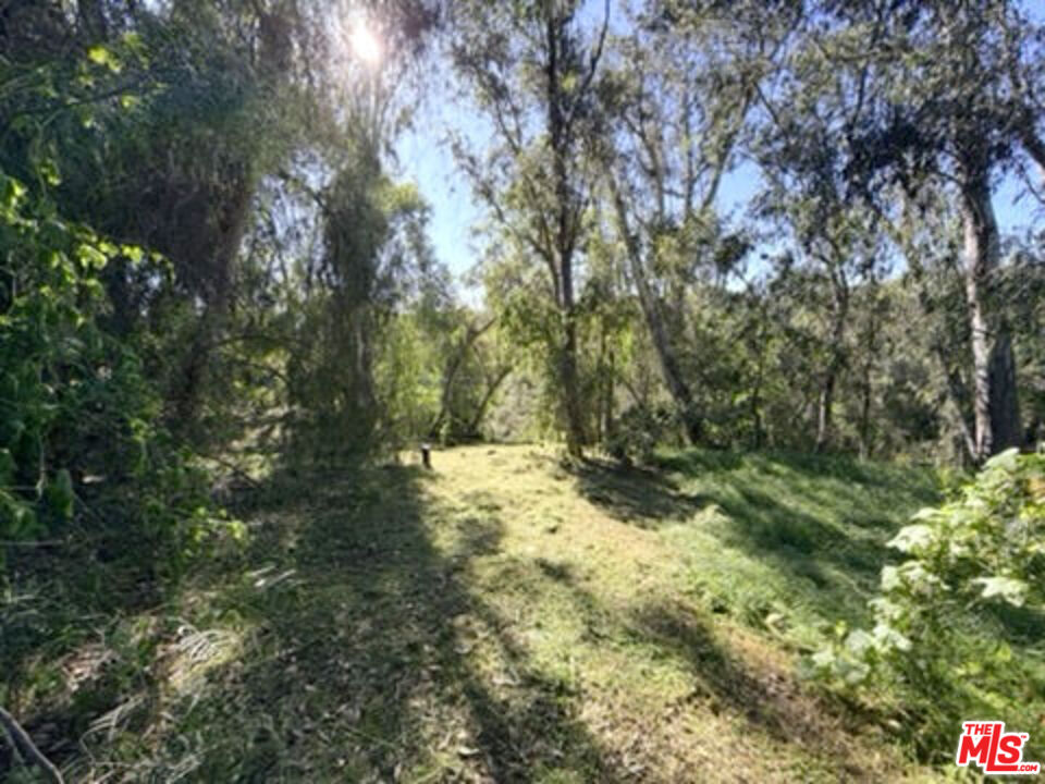3100 Santa Maria Road Topanga, CA 90290 - Photo 61 of 66 a view of a yard with large trees