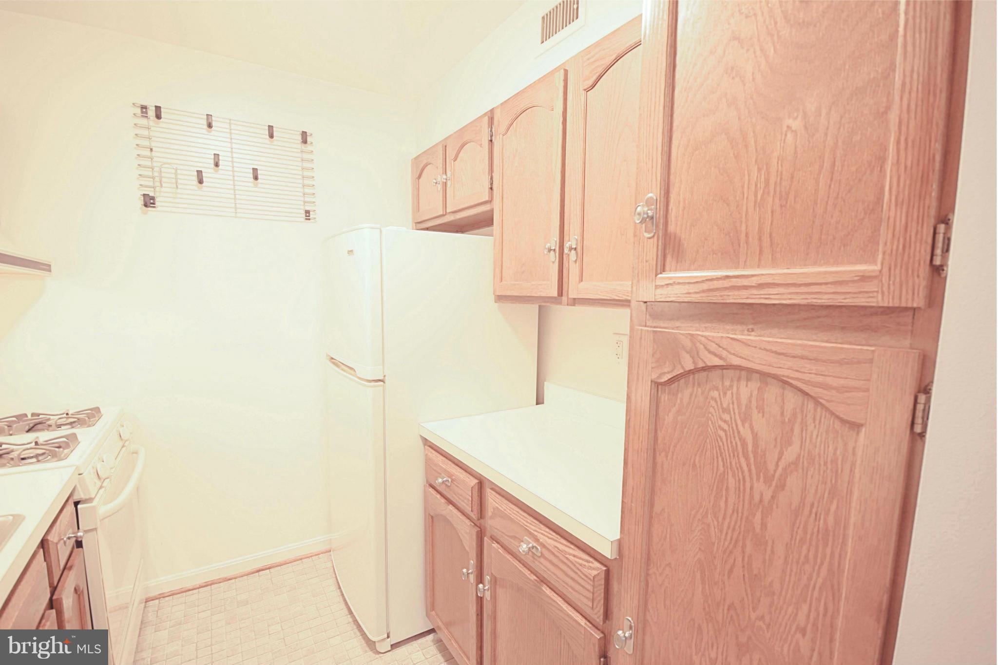 5938 Cove Landing Road, Unit 203A Burke, VA 22015 - Photo 8 of 24 Kitchen