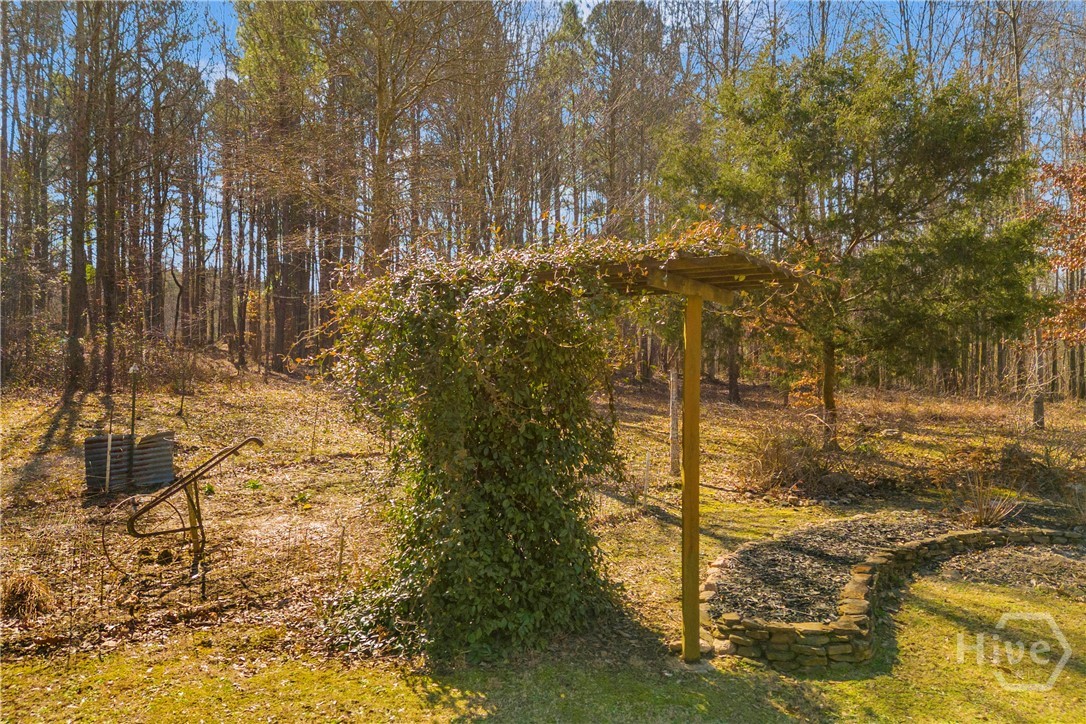 1079 Hardeman Farm Road Carnesville, GA 30521 - Photo 46 of 60