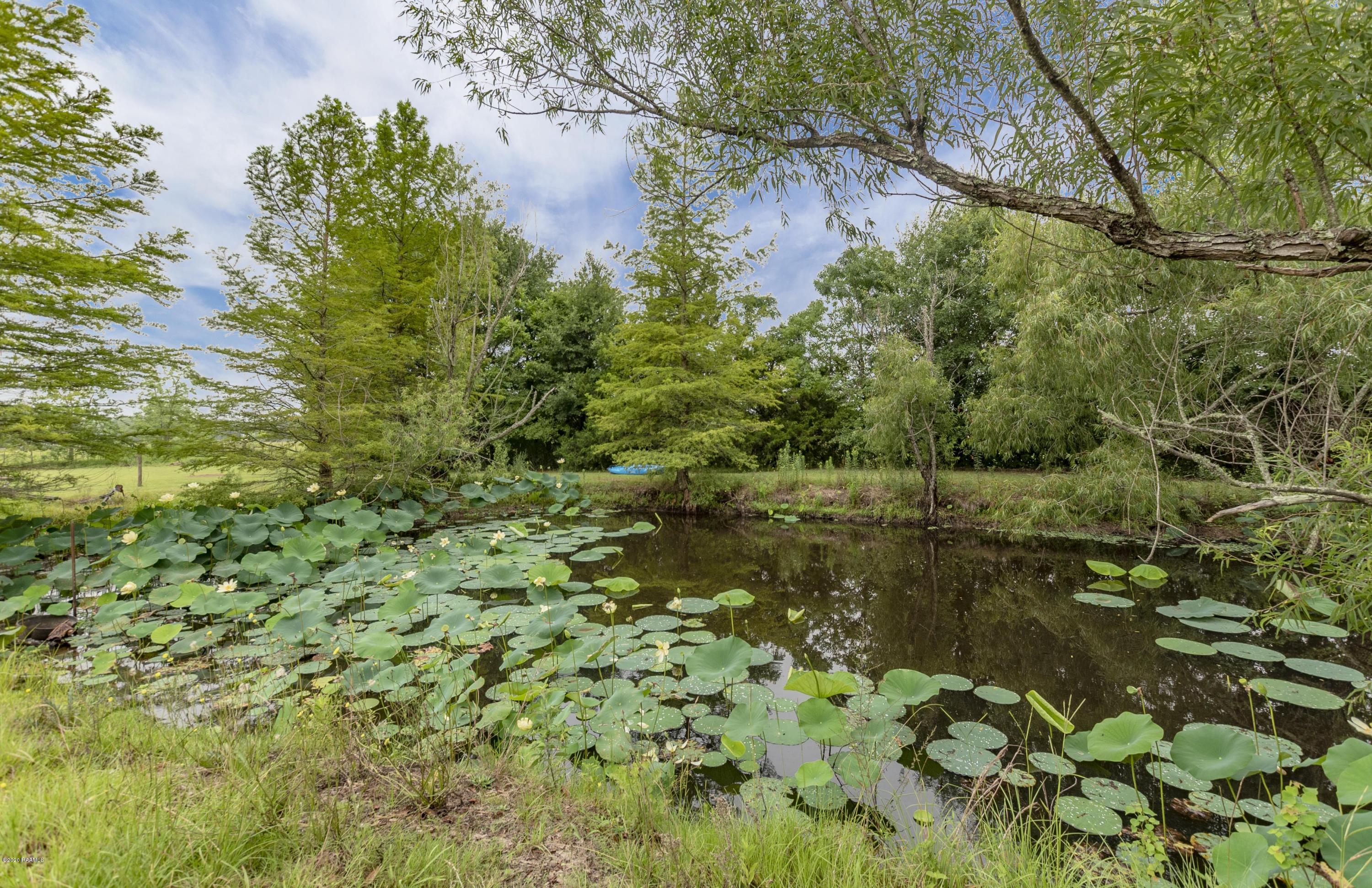 1817 Federal Road Opelousas, LA 70570 - Photo 41 of 48 Pond 1
