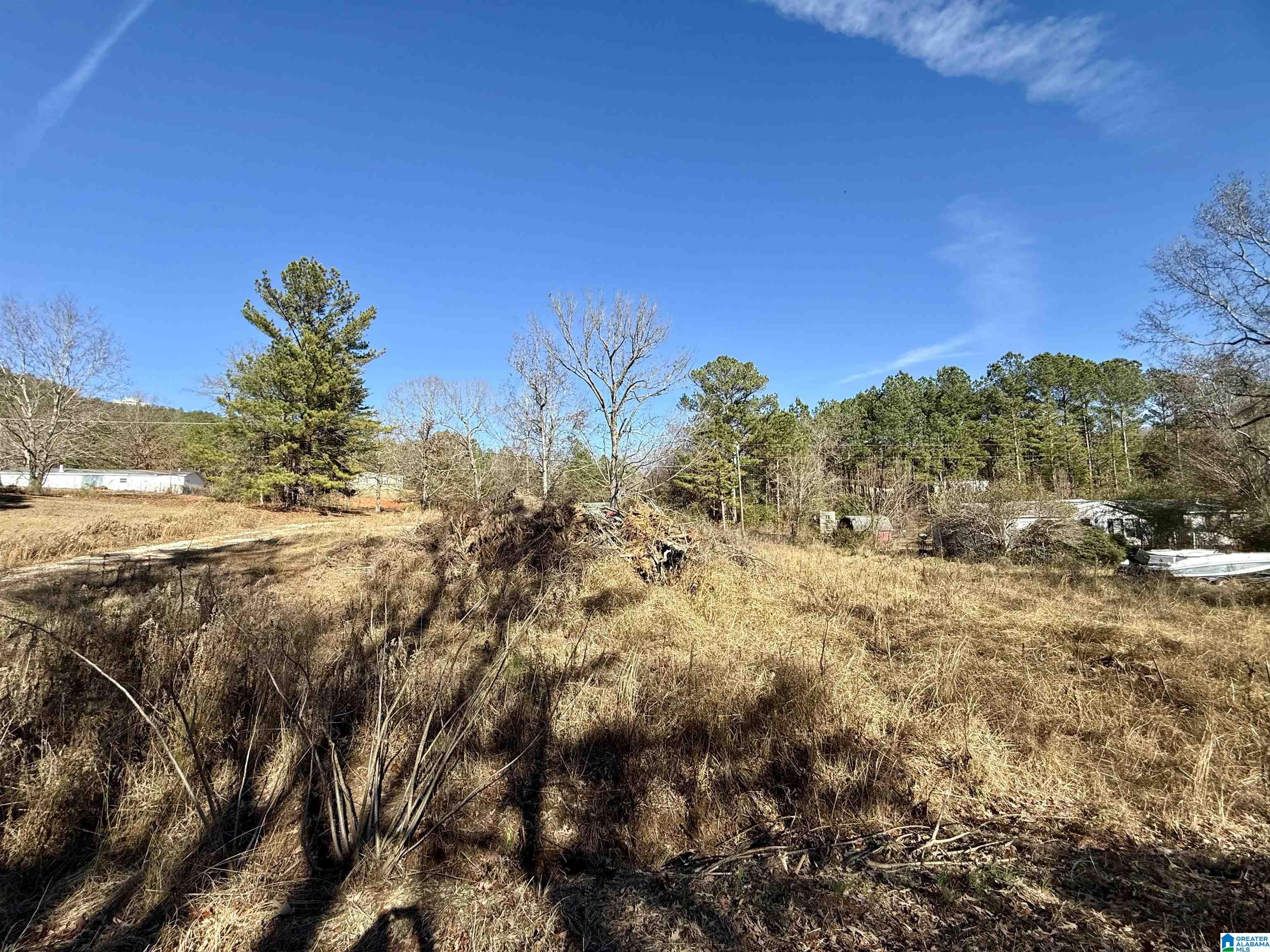 196 Arco Dairy Road Alpine, AL 35014 - Photo 5 of 7