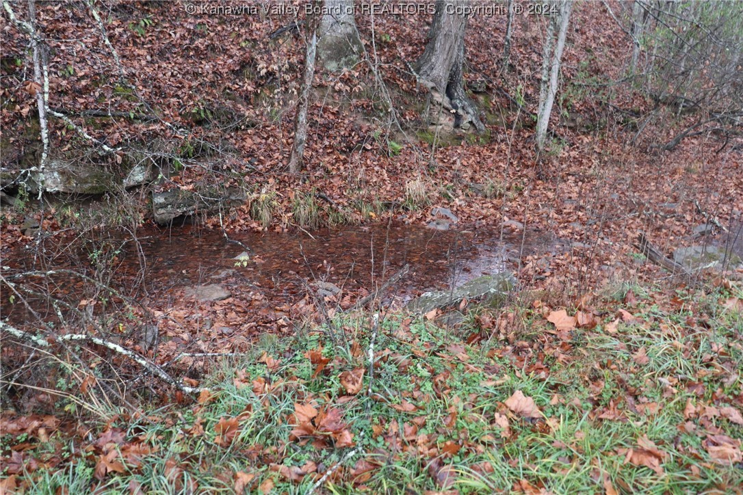 0 Colt Run Road Spencer, WV 25276 - Photo 11 of 25 Gallery Image 11
