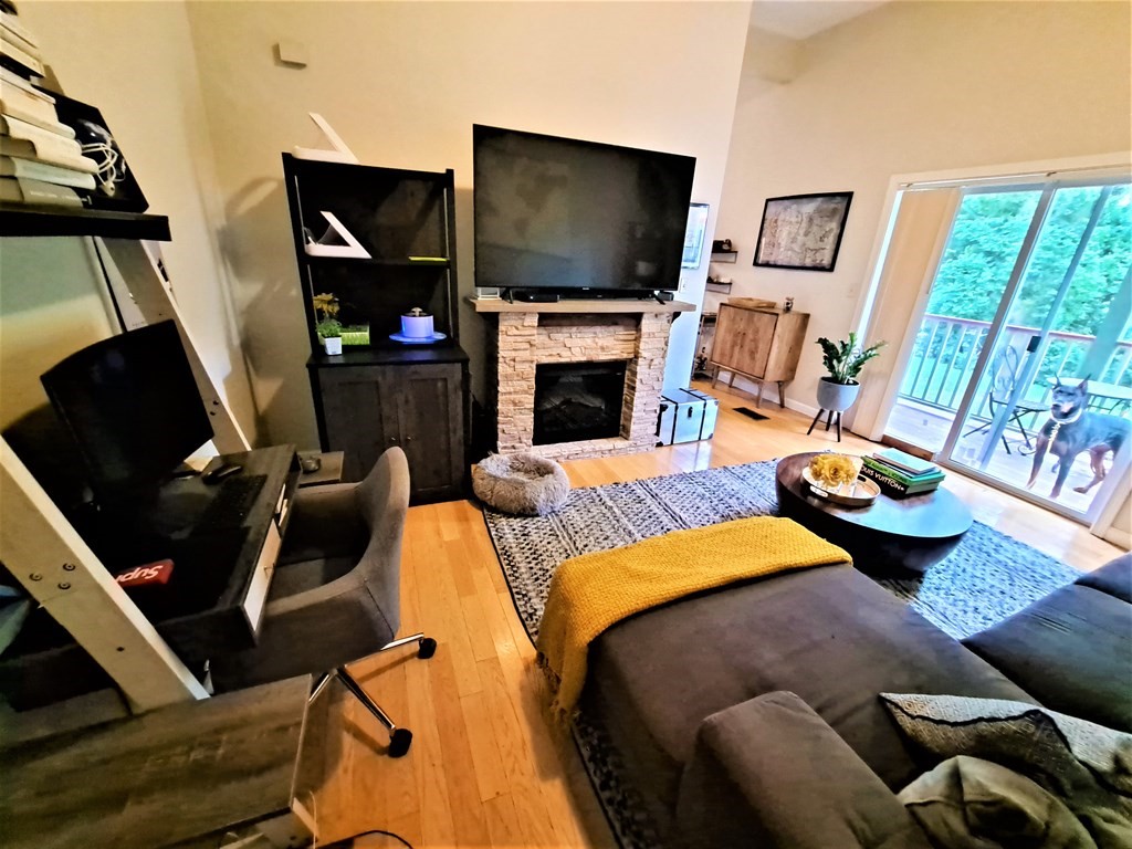 49 Cedar Street, Unit 1 REAR Boston, MA 02119 - Photo 3 of 15