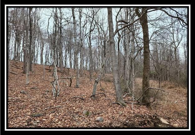 0 Black Run Road, Unit TRACT 8) Chillicothe, OH 45601 - Photo 31 of 47 image033