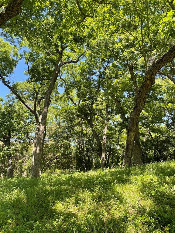 16824 Wortham Bend Road China Spring, TX 76633 - Photo 14 of 16 a view of a lush green space