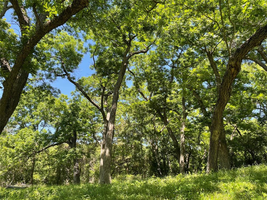 16824 Wortham Bend Road China Spring, TX 76633 - Photo 2 of 16 a backyard of a house with lots of green space
