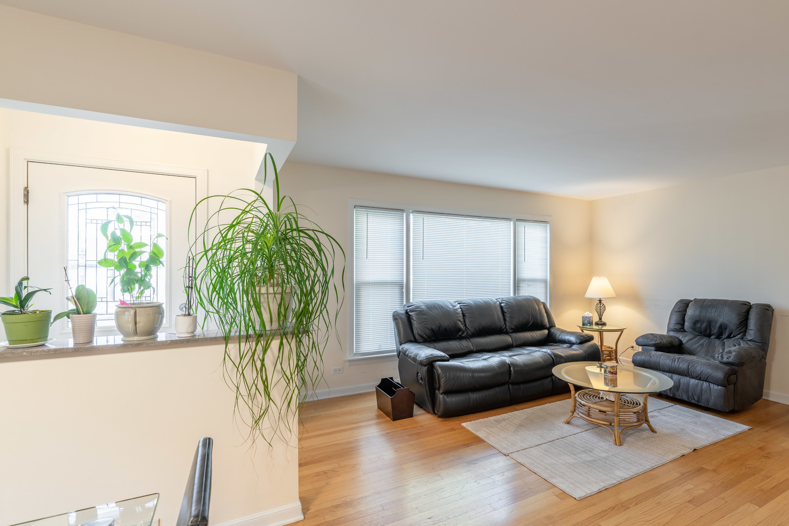 743 Spring Road Elmhurst, IL 60126 - Photo 3 of 21 a living room with furniture and a potted plant