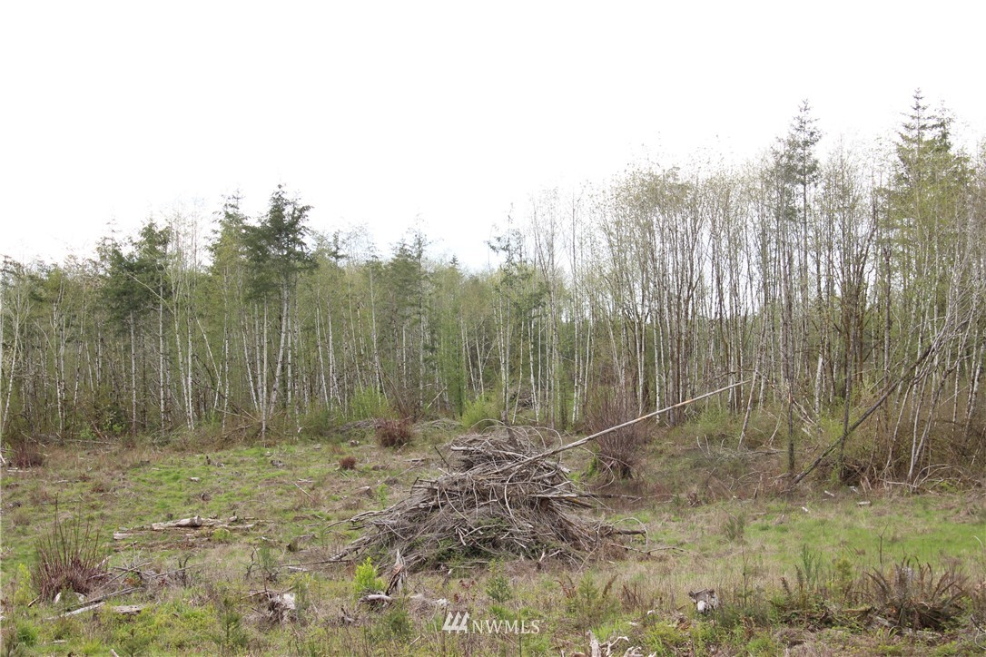 21855 Lee Road Southwest Centralia, WA 98531 - Photo 8 of 14
