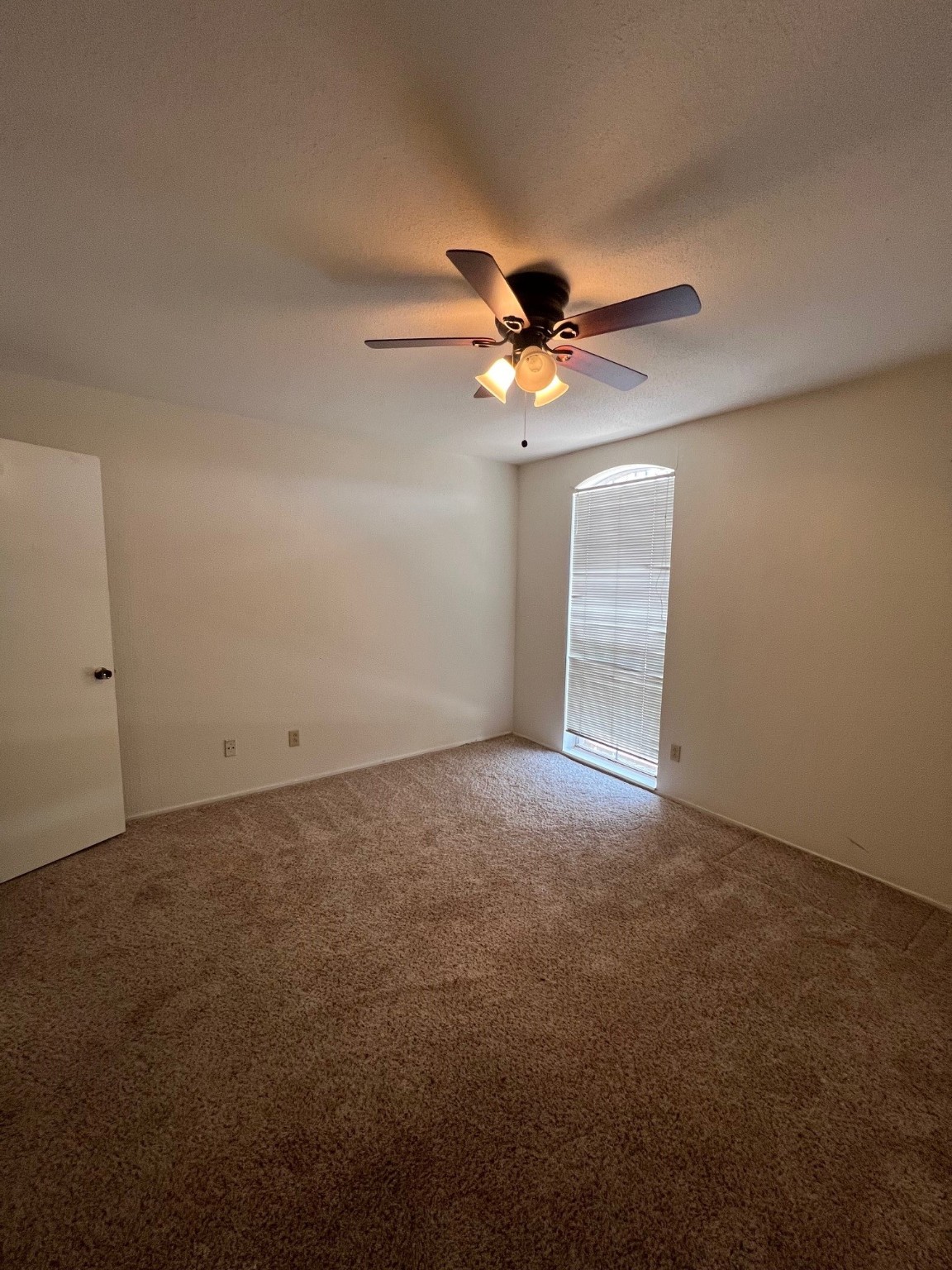 4631 Wild Indigo Street, Unit 572 Houston, TX 77027 - Photo 13 of 13 a view of a big room with carpet