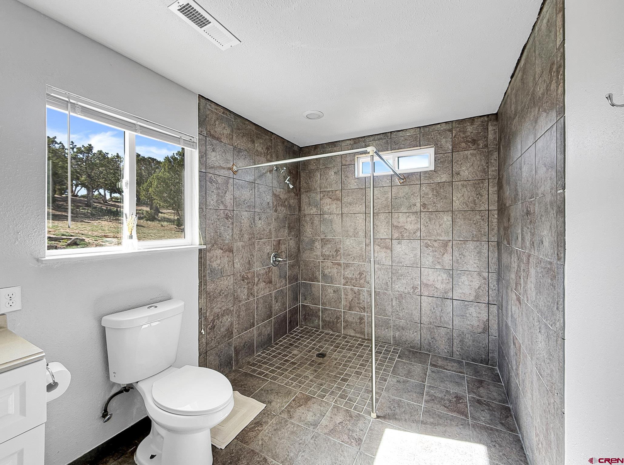 32310 B50 Road Crawford, CO 81415 - Photo 20 of 45 a bathroom with a shower and toilet