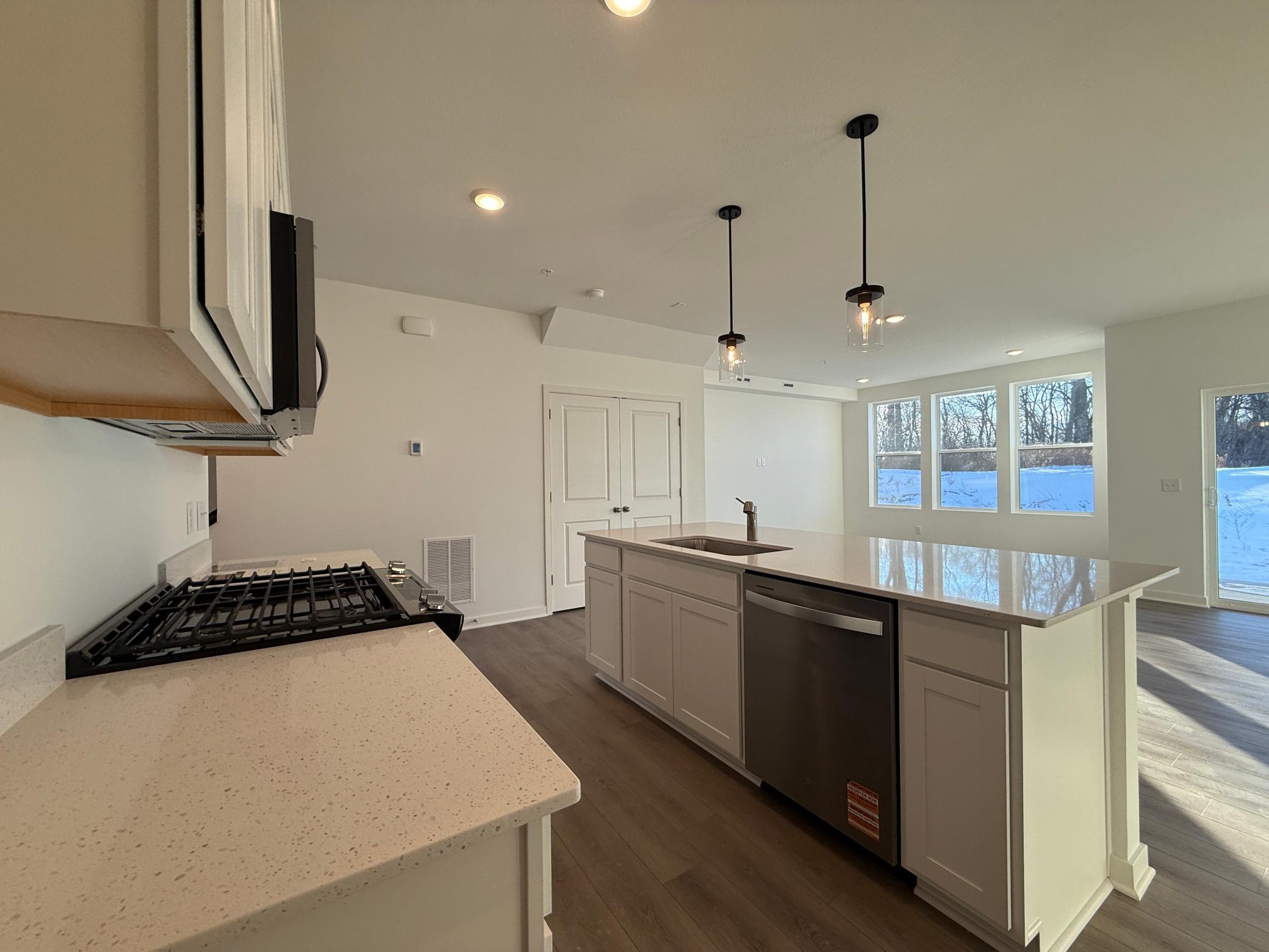 14967 Avondale View Rosemount, MN 55068 - Photo 8 of 28