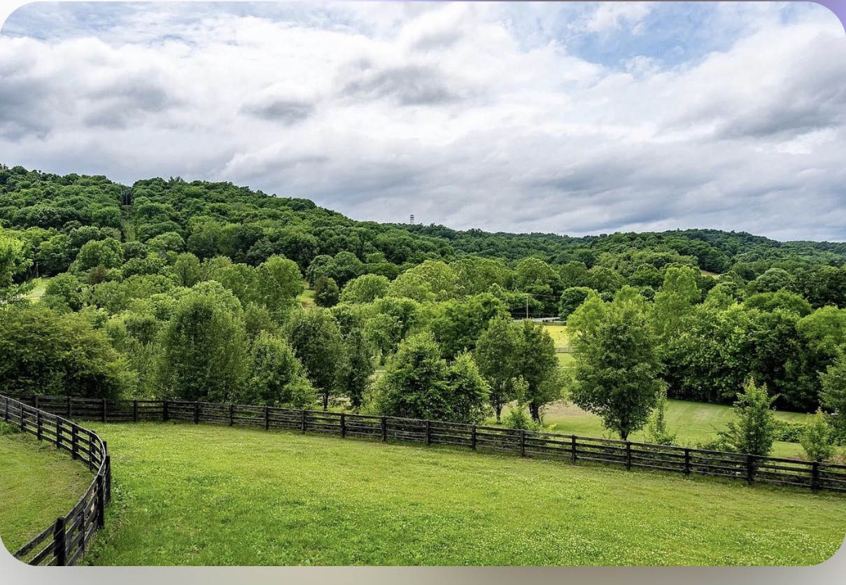 6888 Arno-Allisona Road College Grove, TN 37046 - Photo 47 of 51 Gallery Image 47