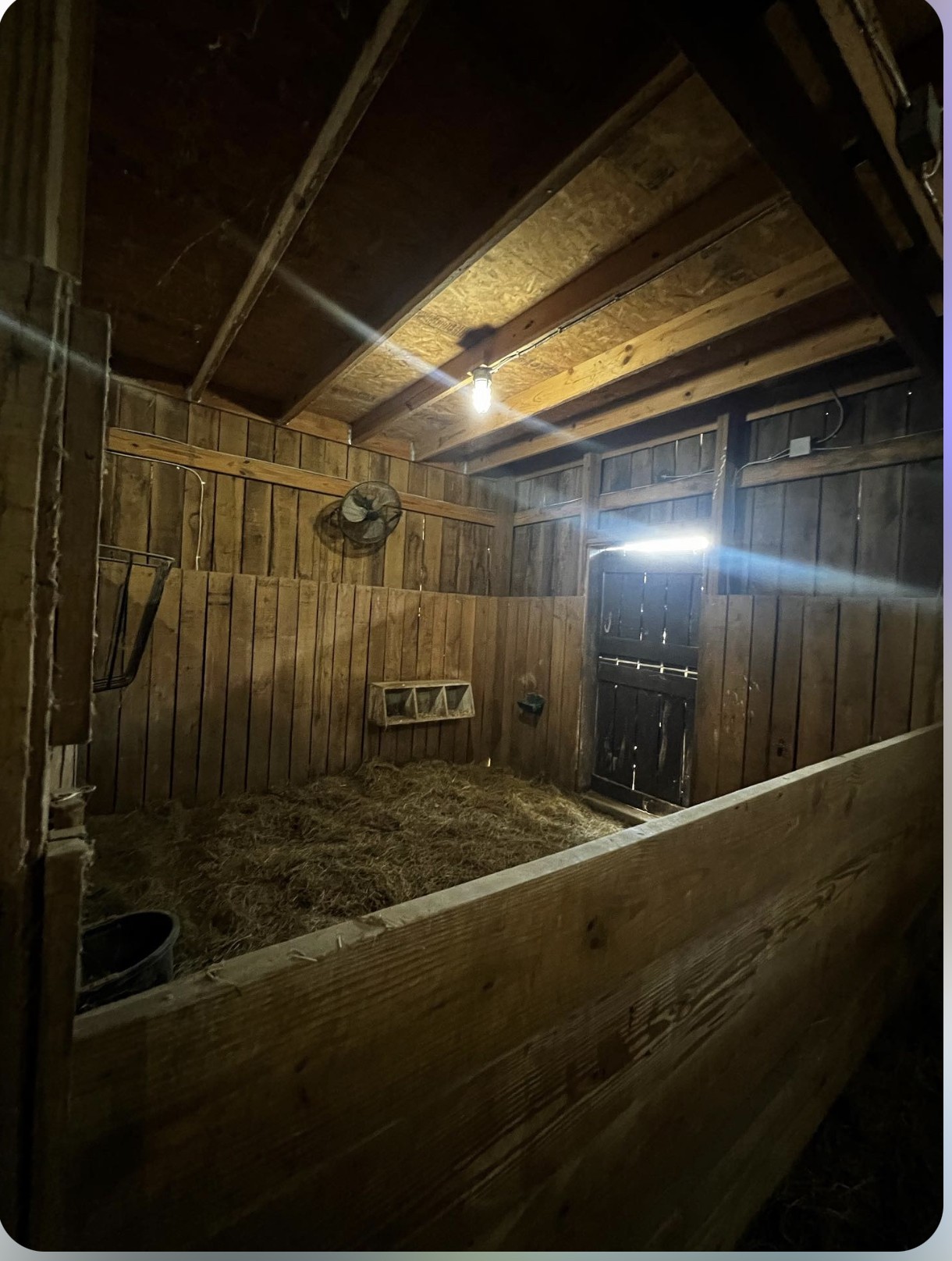 6888 Arno-Allisona Road College Grove, TN 37046 - Photo 50 of 51 Gallery Image 50