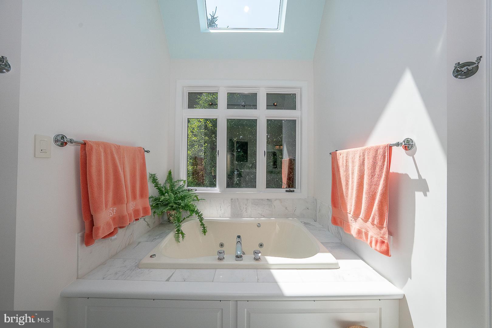 1241 Denbigh Lane Wayne, PA 19087 - Photo 17 of 94 Ultra luxe en suite bath