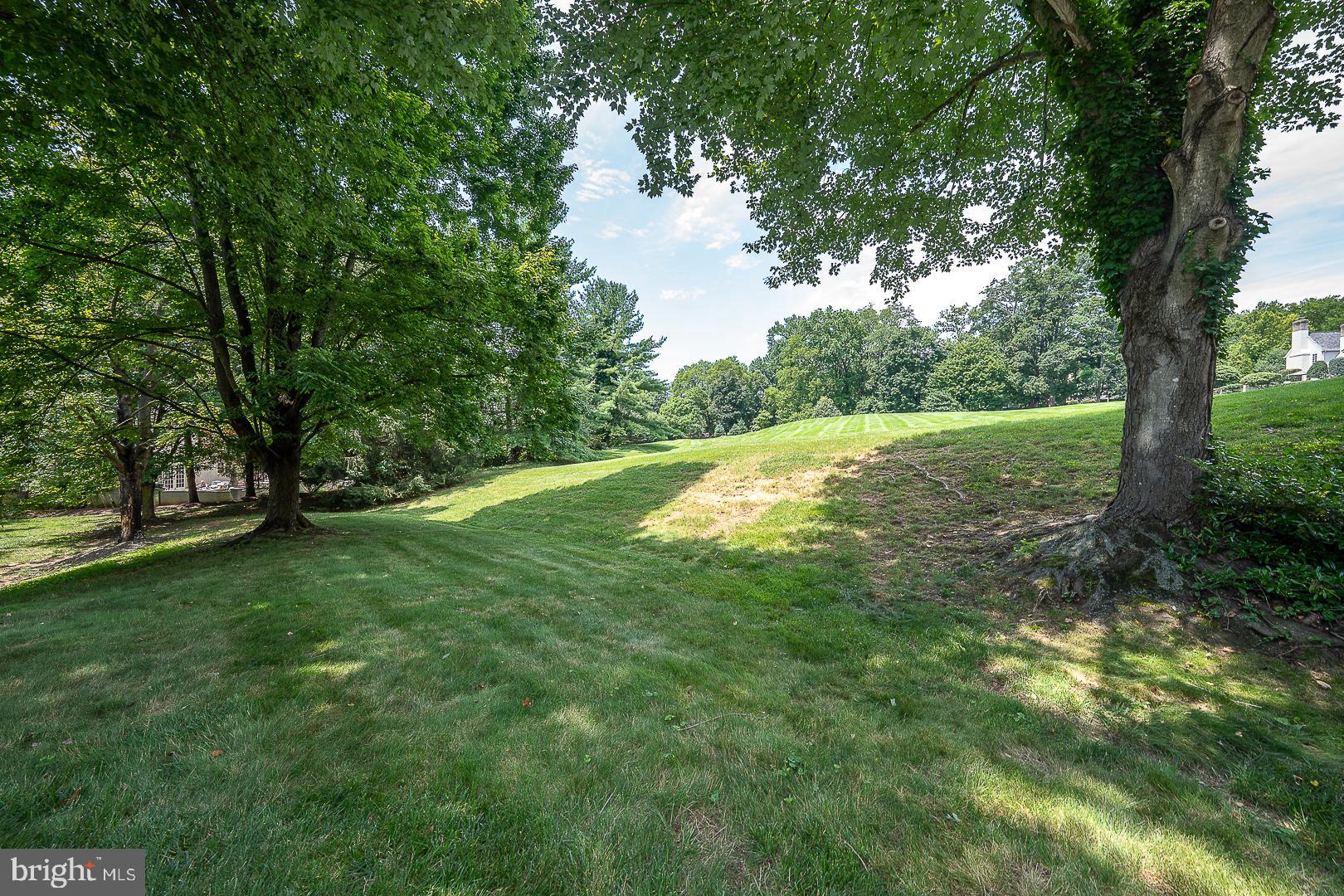 1241 Denbigh Lane Wayne, PA 19087 - Photo 82 of 94 Meadow has walking trails