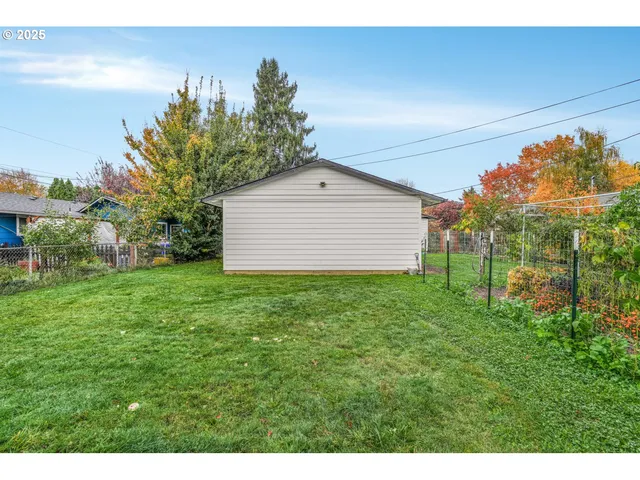a view of a backyard with potted plants and large tree