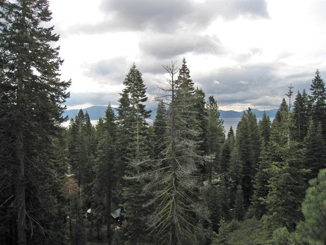 4370 Beaumont Road Carnelian Bay, CA 96140 - Photo 9 of 9 Gallery Image 9