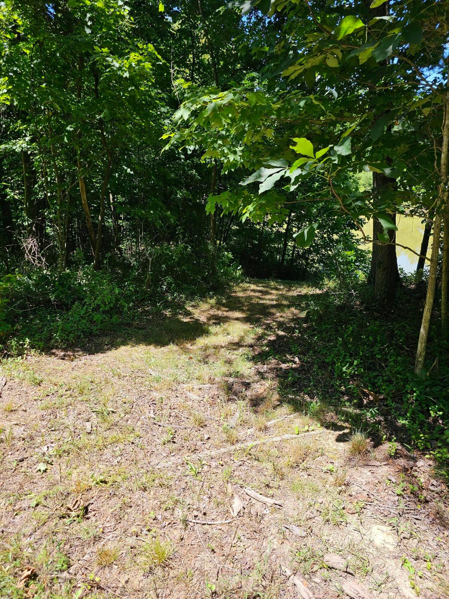 31660 Molehan Road Vinton, OH 45686 - Photo 10 of 37 20240701_123351