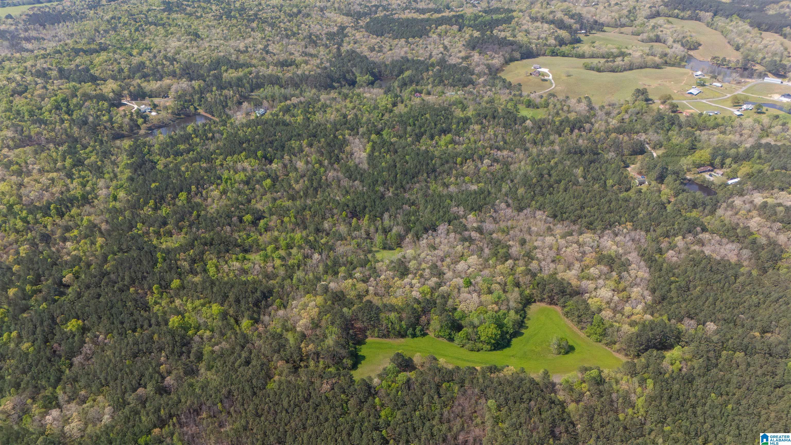 2121 Center Hill Road Trafford, AL 35172 - Photo 37 of 100