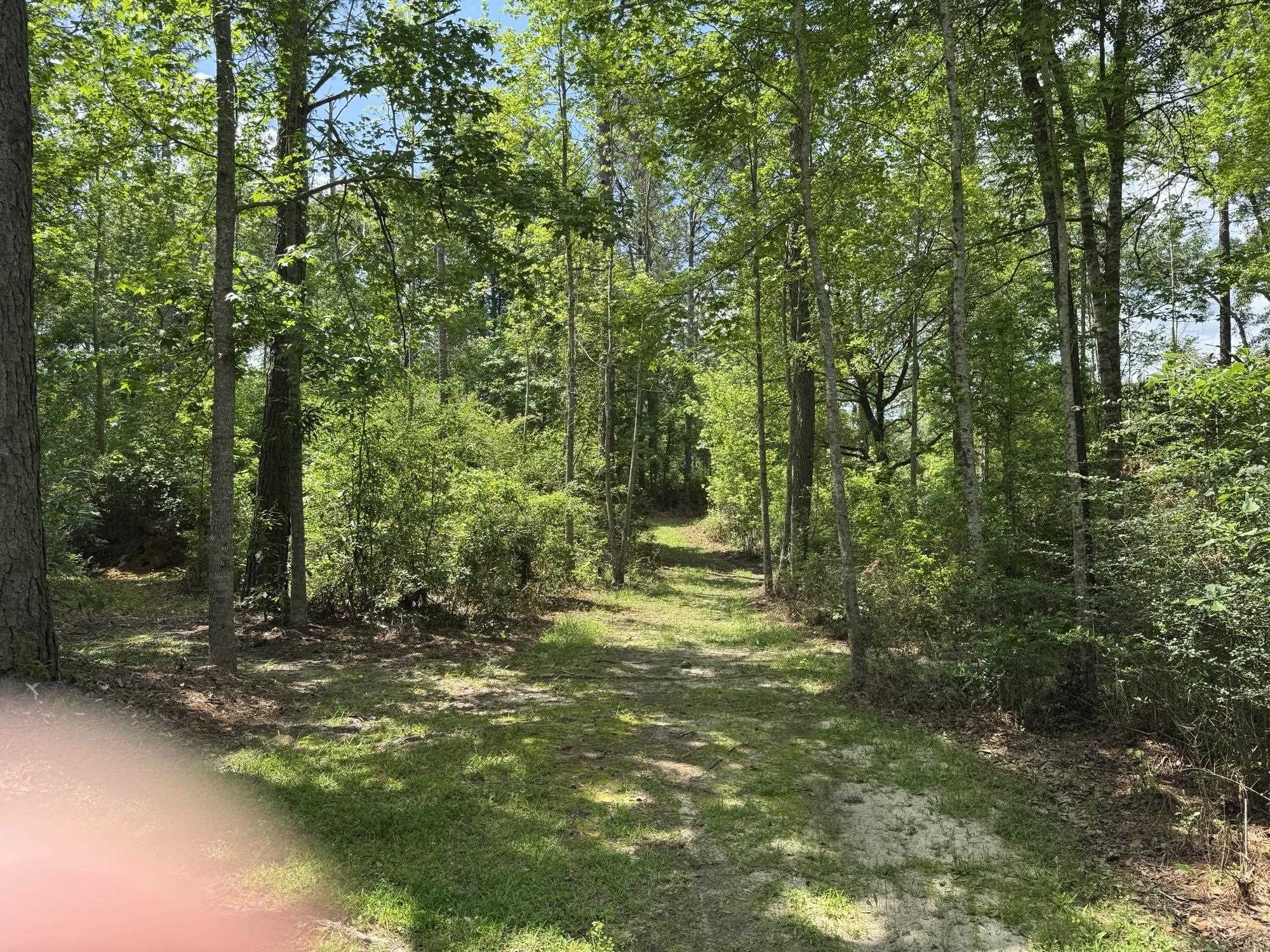 15760 Pine Grove Rd Extension West Bay Minette, AL 36507 - Photo 21 of 22 View
