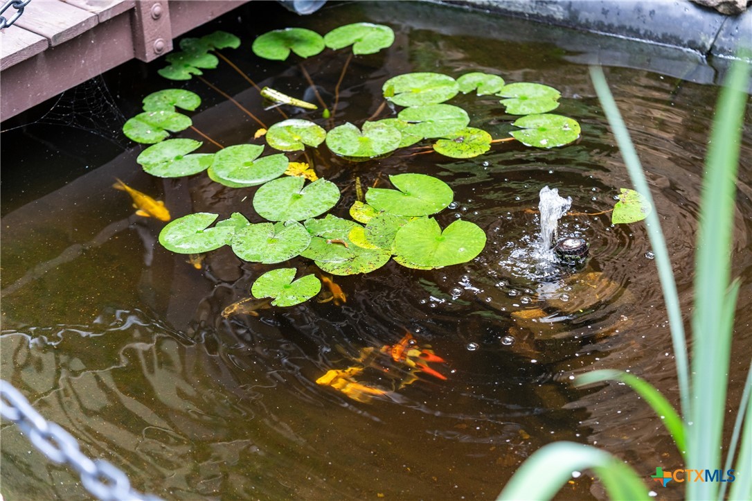 3307 Chelsea Place Temple, TX 76502 - Photo 5 of 45 Koi & Goldfish Ponds