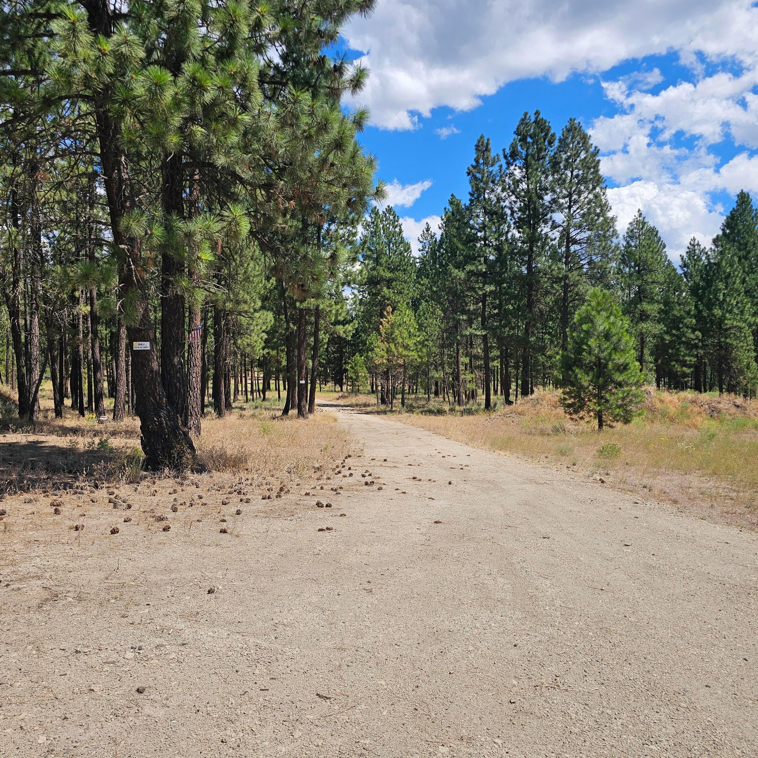 33005 Godowa Springs Road Beatty, OR 97621 - Photo 35 of 36 20250728_141121