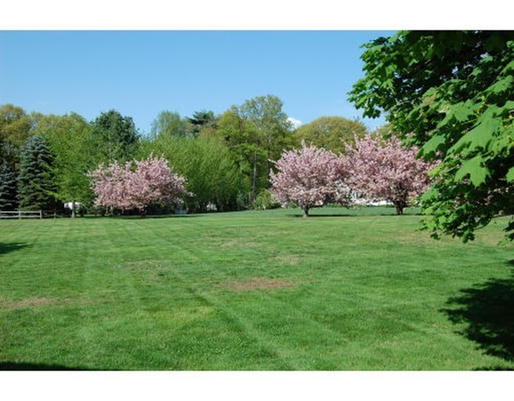 48 Longmeadow Road Milton, MA 02186 - Photo 12 of 15 Gallery Image 12