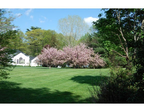 48 Longmeadow Road Milton, MA 02186 - Photo 13 of 15 Gallery Image 13