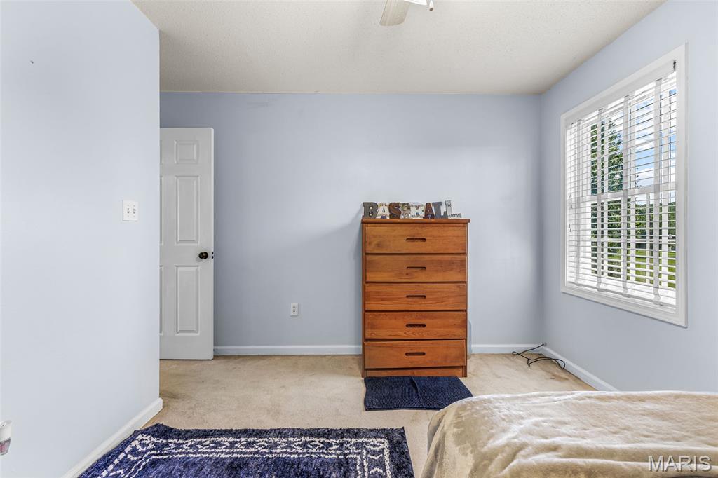 210 Buzzard Rock Road Farmington, MO 63640 - Photo 30 of 64