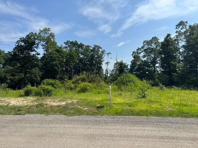a backyard of a house with a garden and plants