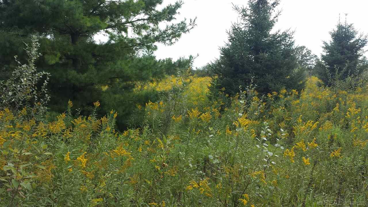 Parcel D Gilbert Memphis, MI 48041 - Photo 2 of 5