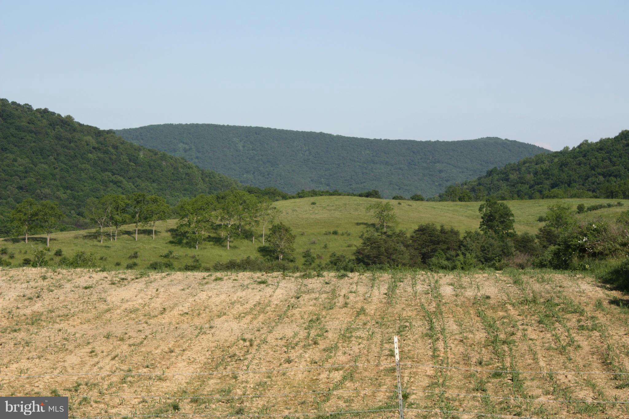 20500 Root Road Northeast Flintstone, MD 21530 - Photo 23 of 69 a view of an outdoor space and a mountain view