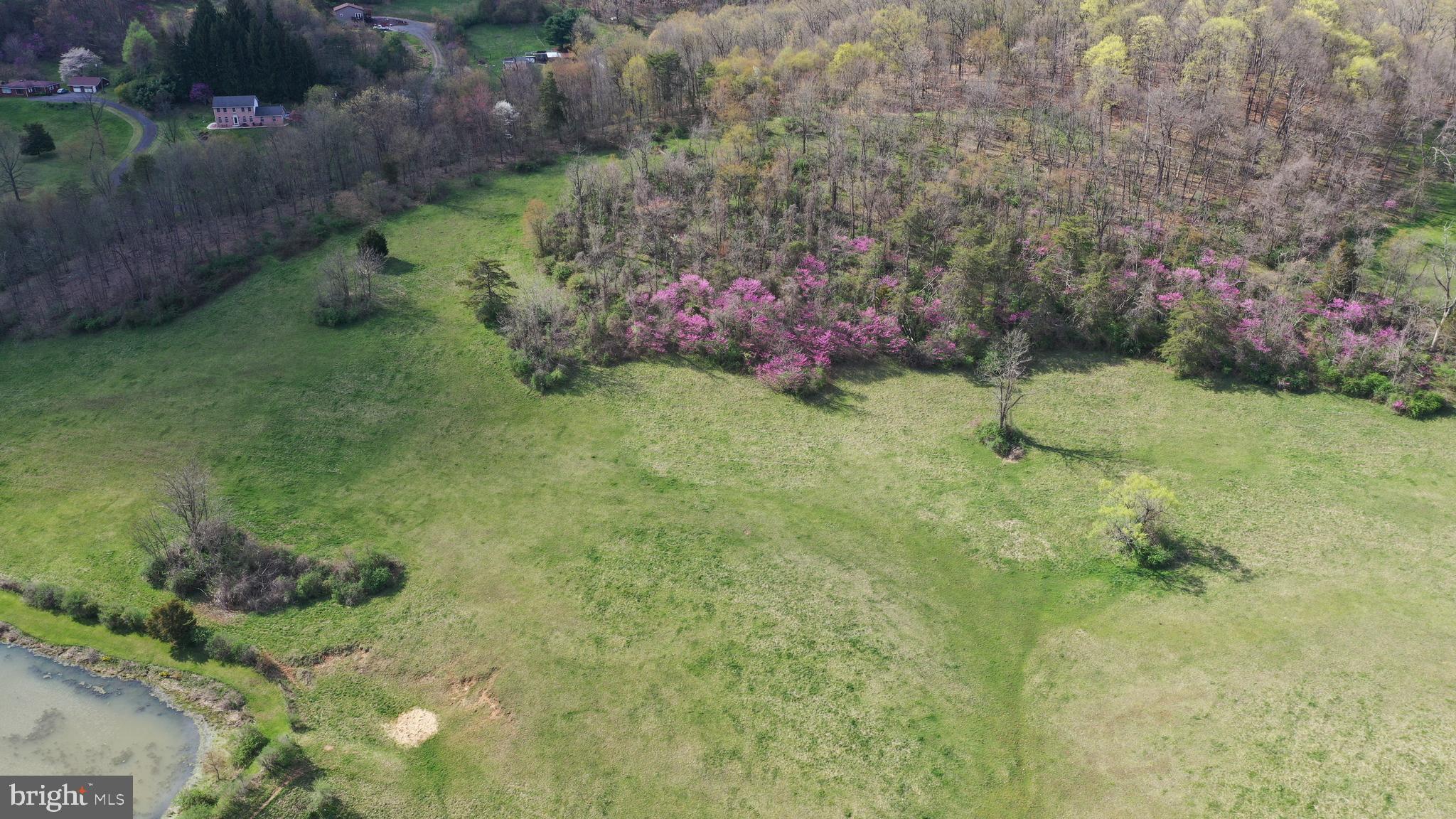 20500 Root Road Northeast Flintstone, MD 21530 - Photo 33 of 69 a backyard of a house with lots of green space and trees