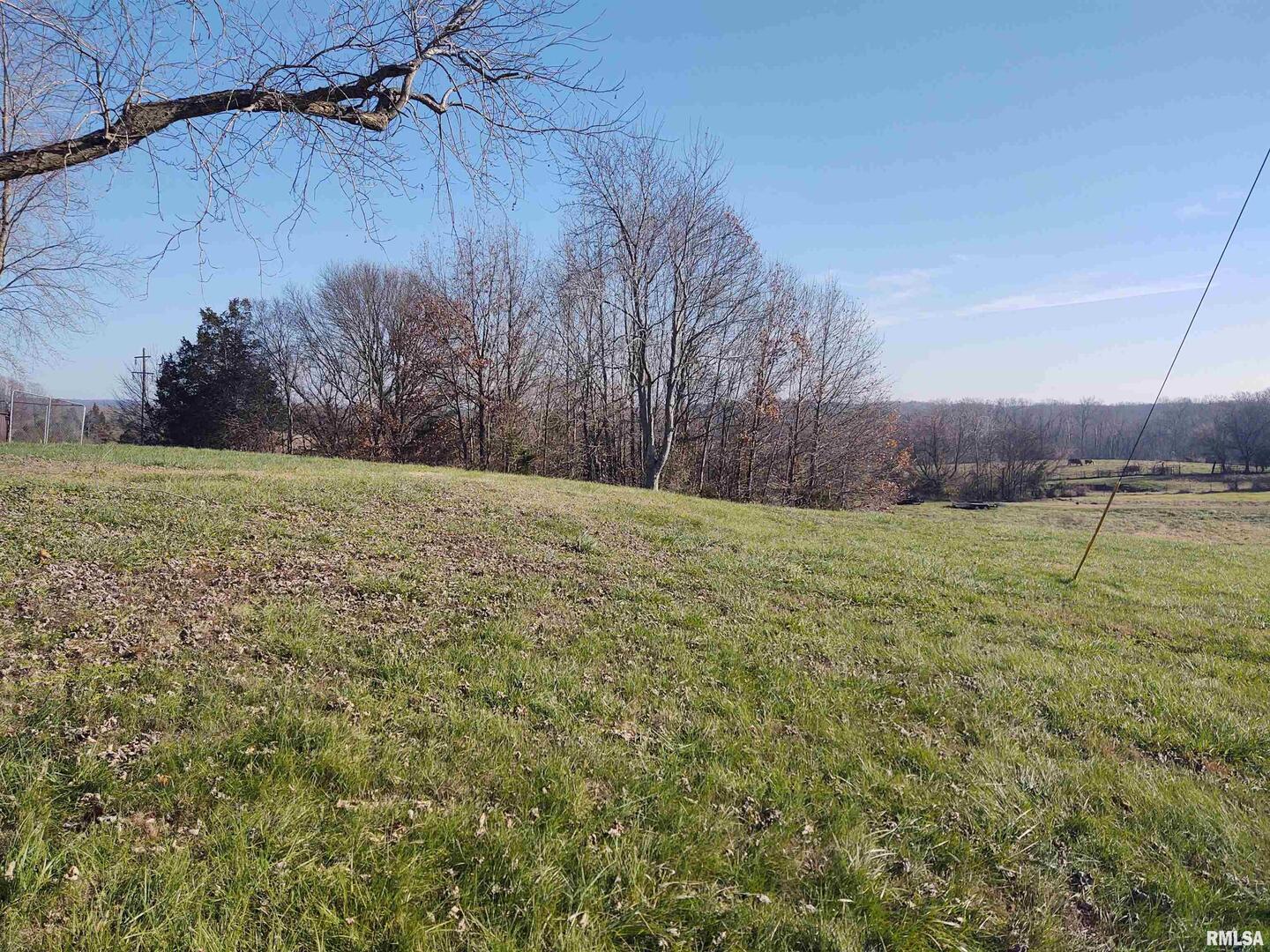 1470 Old Bloomfield Road Vienna, IL 62995 - Photo 6 of 25 a view of a yard