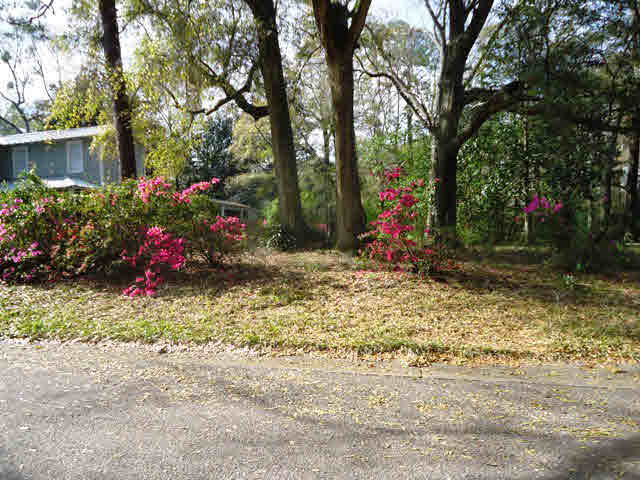 200 Grand Avenue Fairhope, AL 36532 - Photo 1 of 1