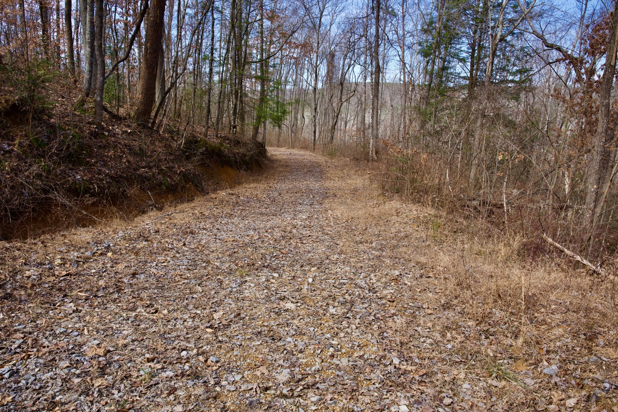 0 Meadow Lark Road Dunlap, TN 37327 - Photo 5 of 14 Gallery Image 5