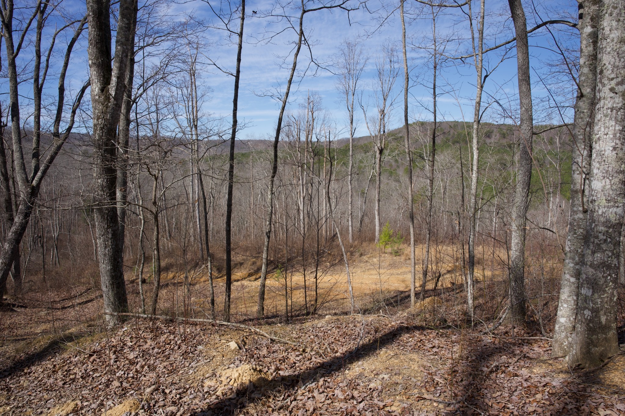 0 Meadow Lark Road Dunlap, TN 37327 - Photo 8 of 14 Gallery Image 8